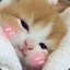 thecutemoonpie