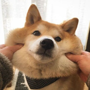 awkchan45's Steam Avatar
