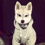 sqlstatement - steam id 76561197963274407