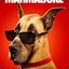 Marmaduke!!!!