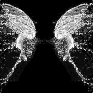 丿流影...逆光M L