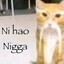 Nı ɥɐo Nıɓɓɐ