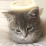 弗兰克和鬼面别卖萌了