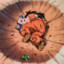 Yamcha