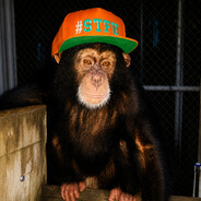 `ᶠᶸᶜᵏᵧₒᵤ!`Whiskey