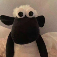 Yy