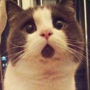 辅助：www.116km.net