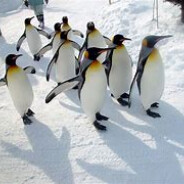 ウルトラ初心者VMAX