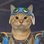 深水城最值得交往的人类法师家养的猫