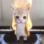 Burning Cat