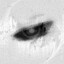 deadlees's avatar