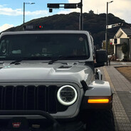 强鸡的快乐生活