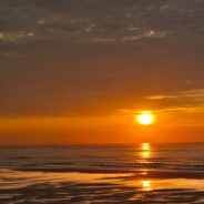 国风哭了没回复你