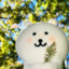 说谢谢了吗
