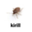 kirill