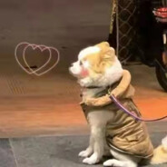 她比大狙受欢迎