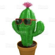 TheTrendyCactus