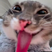 Mandarin4ik - steam id 76561199186827635