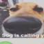 sog is calling wyd