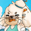 Seal-ly Seal Summer