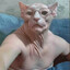 Steam avatar