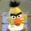 Angery Bert