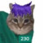 230