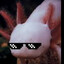 Theaxolotl the I