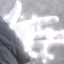 ♕Ｓｔｅｅｇ♕
