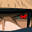 mosquito