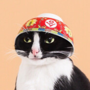Dotterer