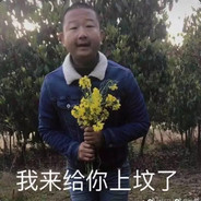 扎爷就是个弟弟