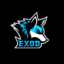 Exod_Striker