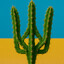 TEQUILA