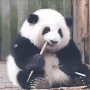 时光匆匆不复你我