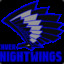 denvernightwings