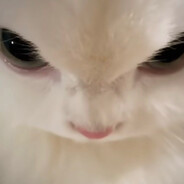 amore meow - steam id 76561198412436502