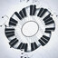 Knopfir