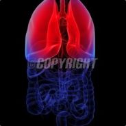 天王盖地虎十个八