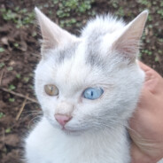 温柔的人有福了?