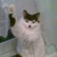 Adolf Catler