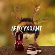 брюс уэйн (не бэтм