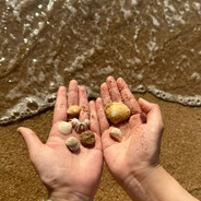 𝑳𝒊𝒕𝒕𝒍𝒆 𝑩