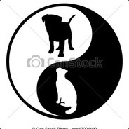 卖火柴的小男孩