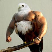 Meat Steed
