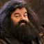 Hagrid