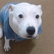 chamakitobnbellakito2002