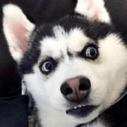 闰土，我是猹呀