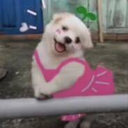 你老端你那b锅干嘛