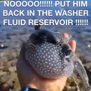 Washer Fluid Reservoir Fish